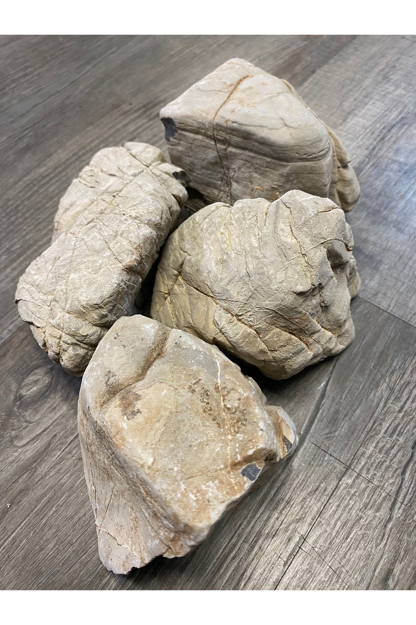 Caribsea Rock Exotica - Elephant Skin Rock