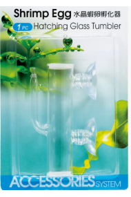 Hatching Glass Tumbler - Shrimp Eggs