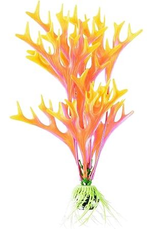 UNDERWATER TREASURES - Fire Fern Plant - 4in