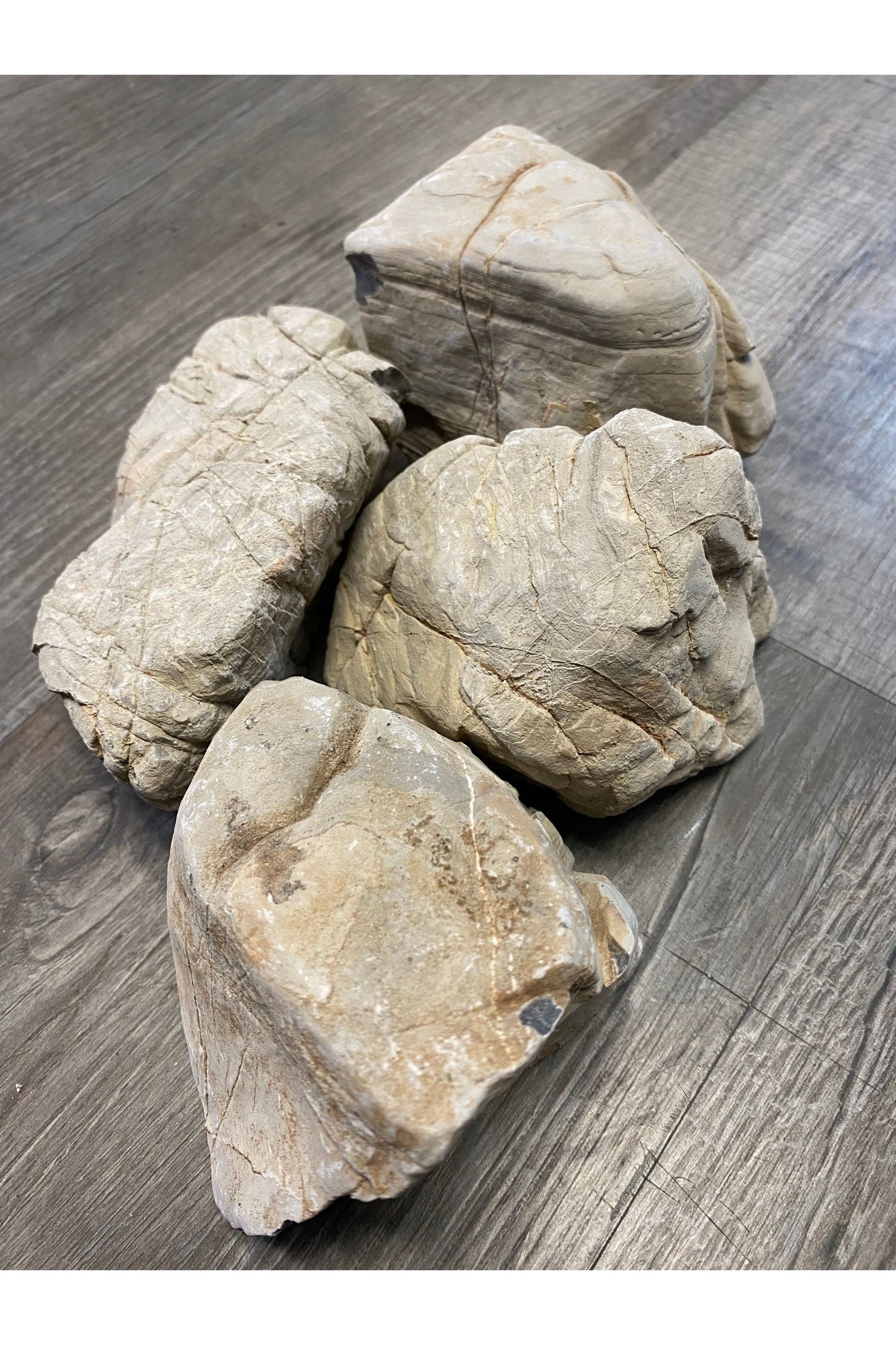 Caribsea Rock Exotica - Elephant Skin Rock