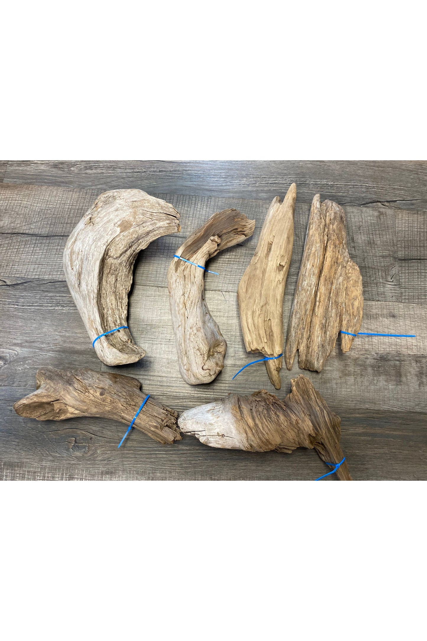 Terrarium Drift Wood
