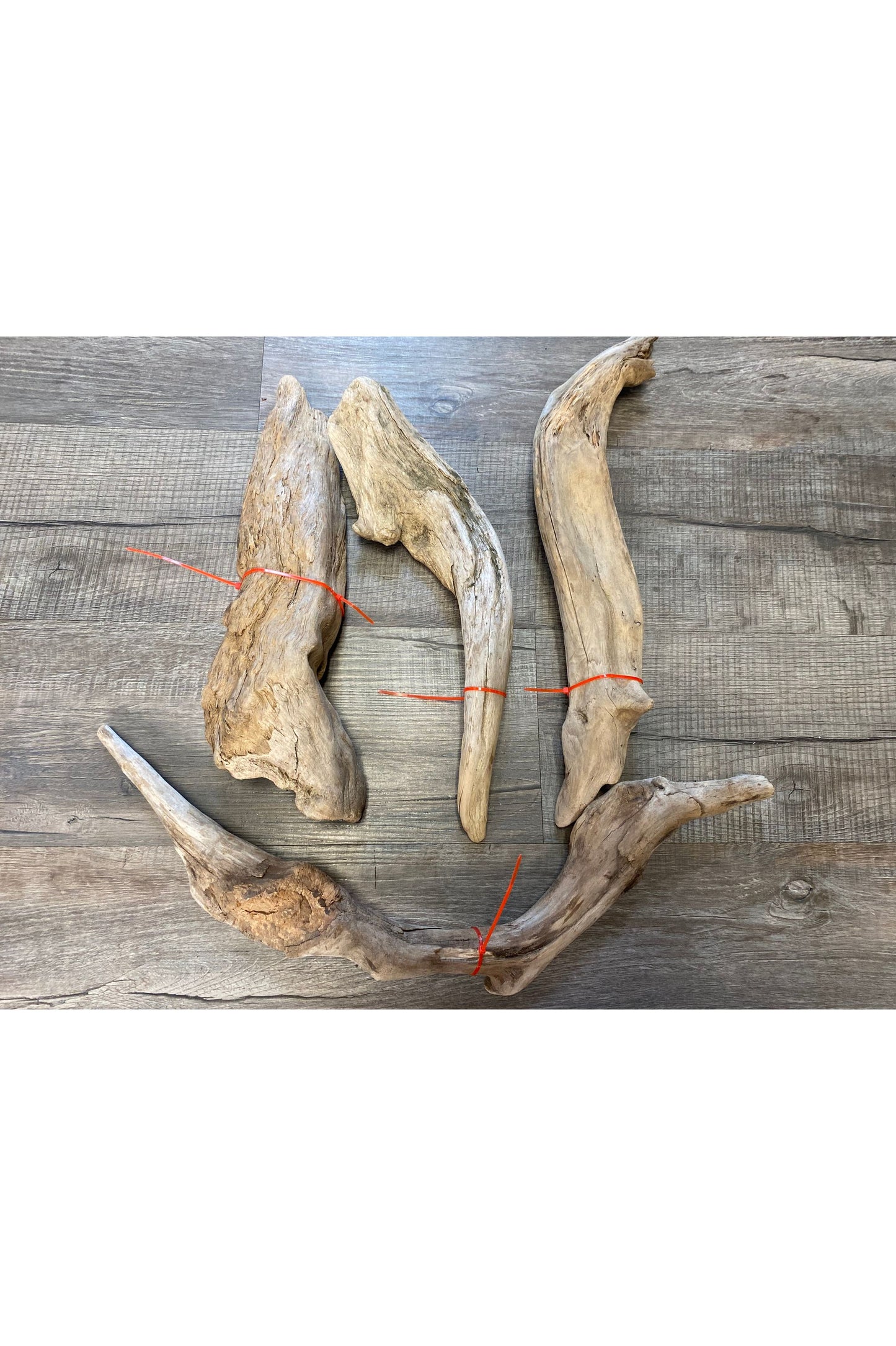 Terrarium Drift Wood