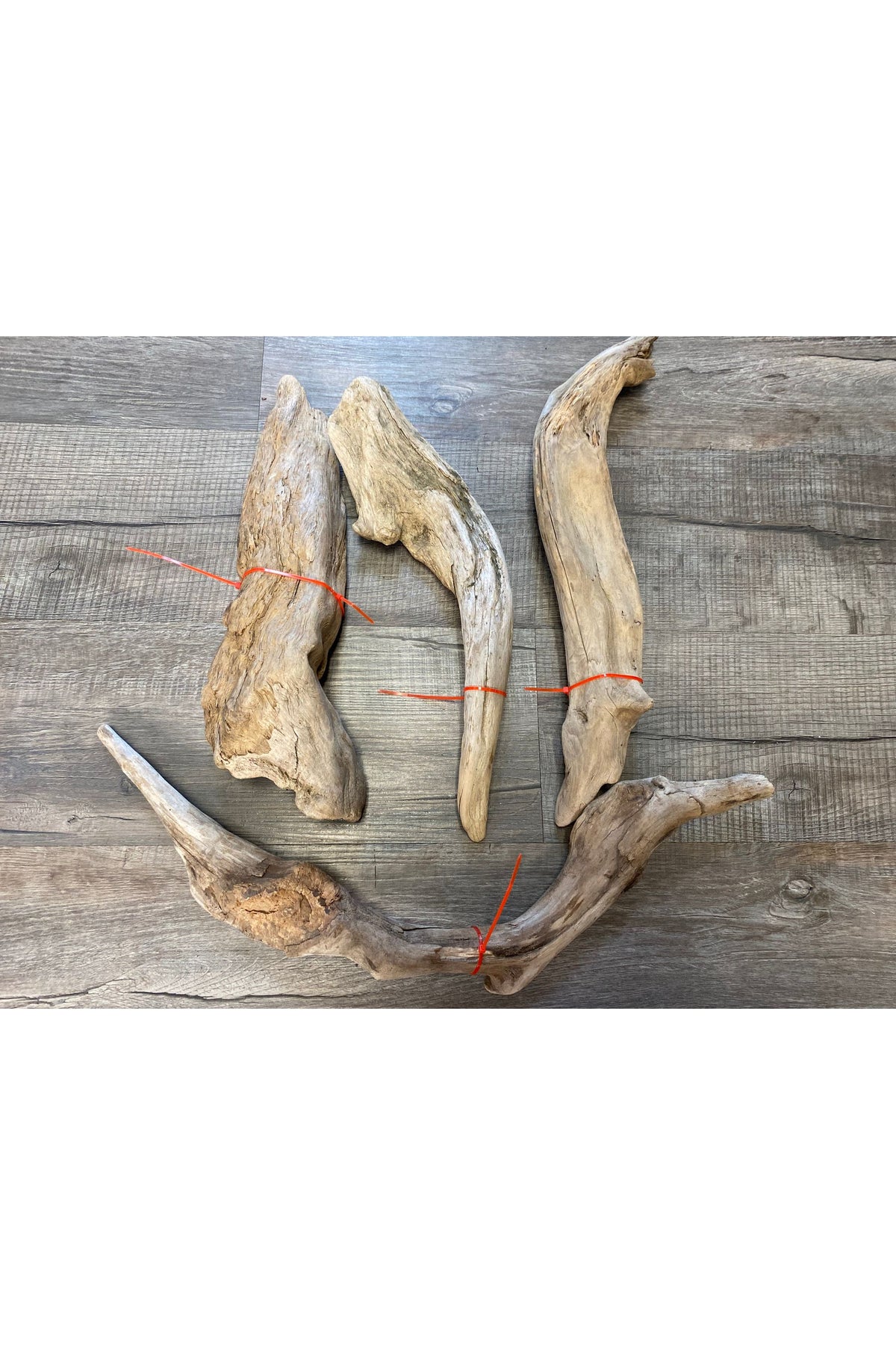 Terrarium Drift Wood