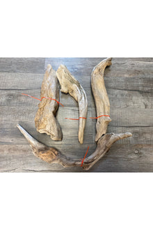 Terrarium Drift Wood