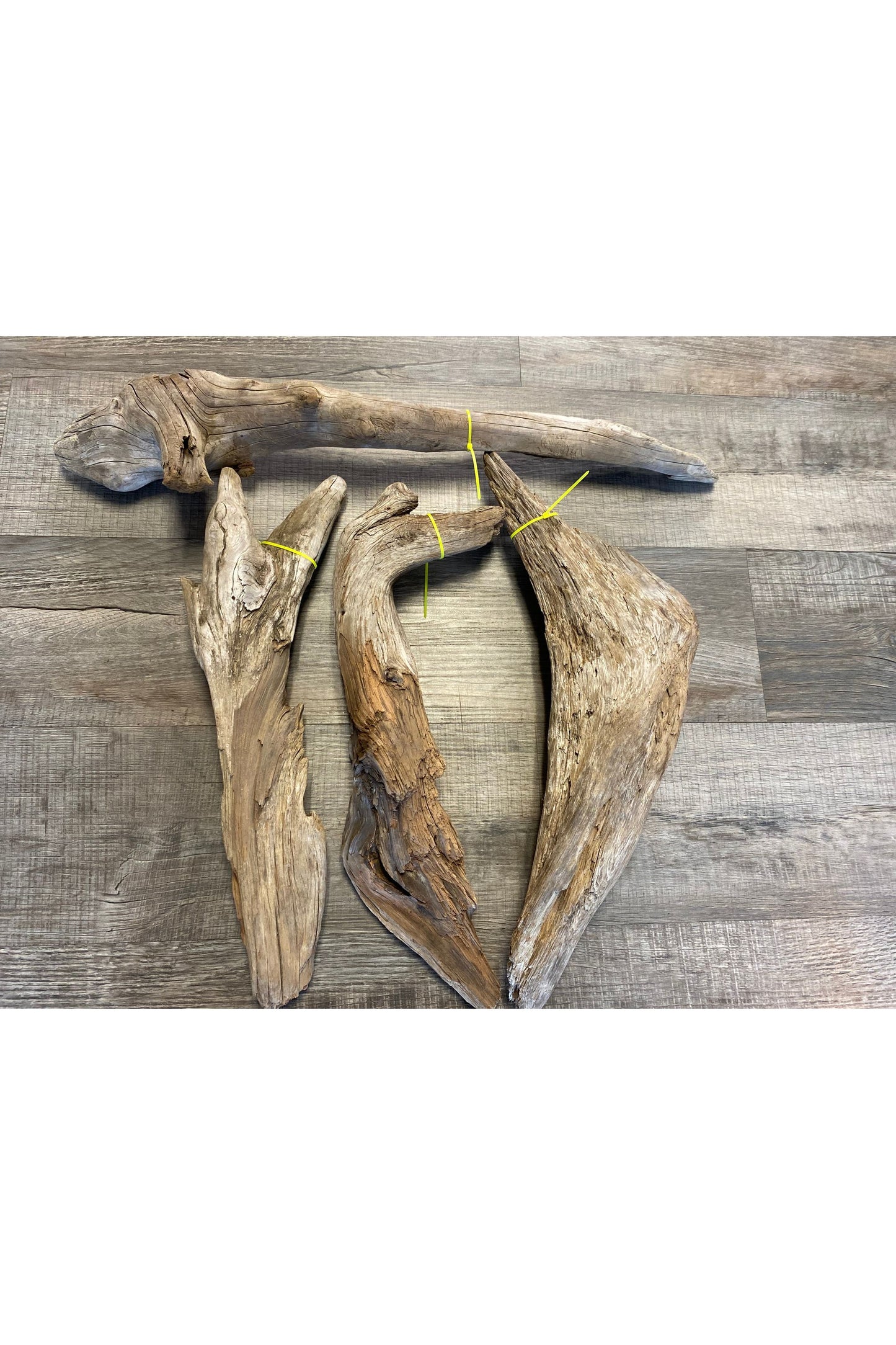 Terrarium Drift Wood