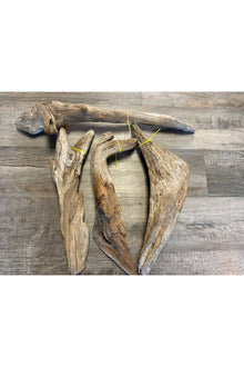 Terrarium Drift Wood