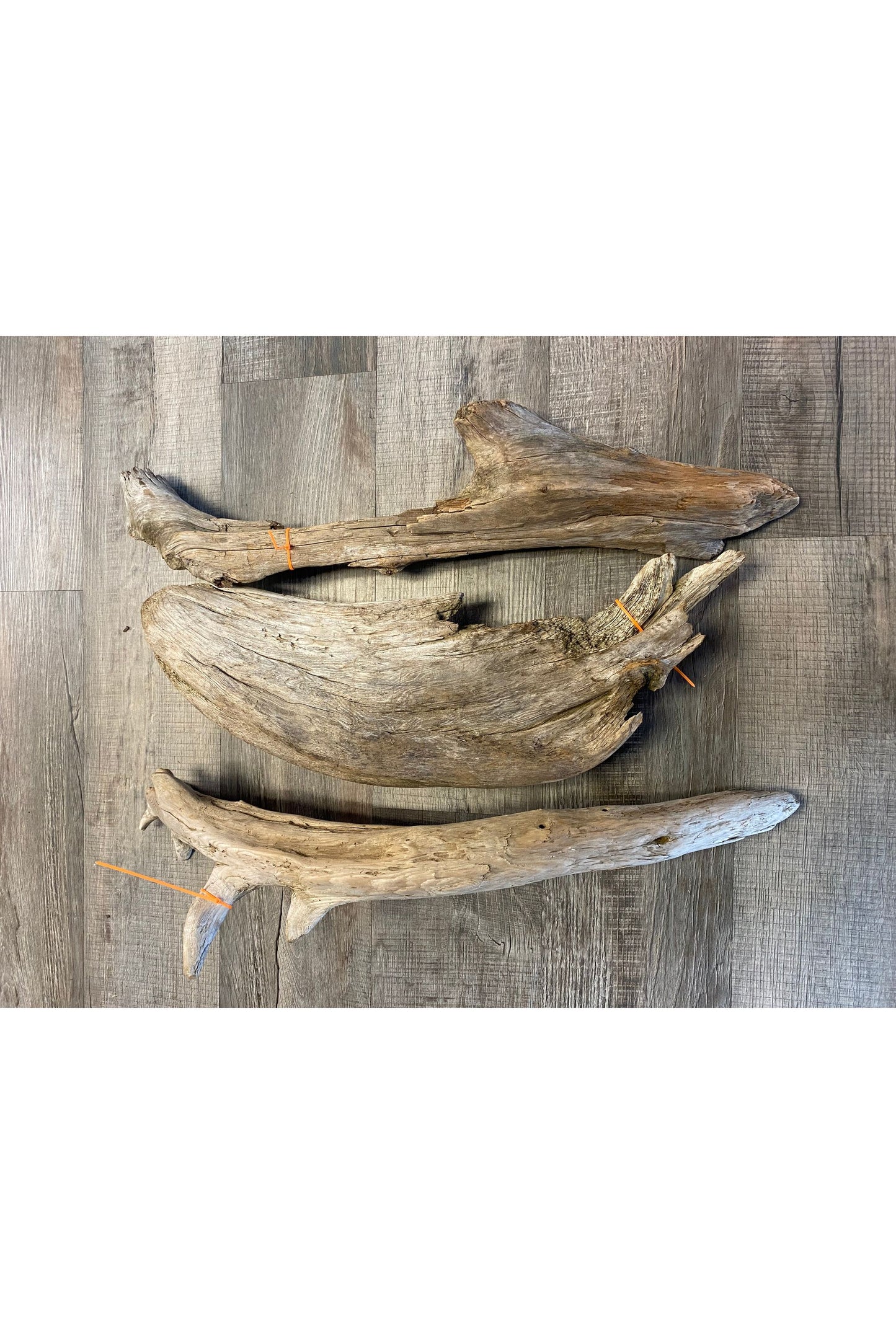 Terrarium Drift Wood