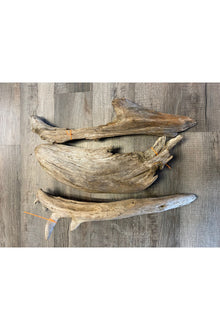 Terrarium Drift Wood