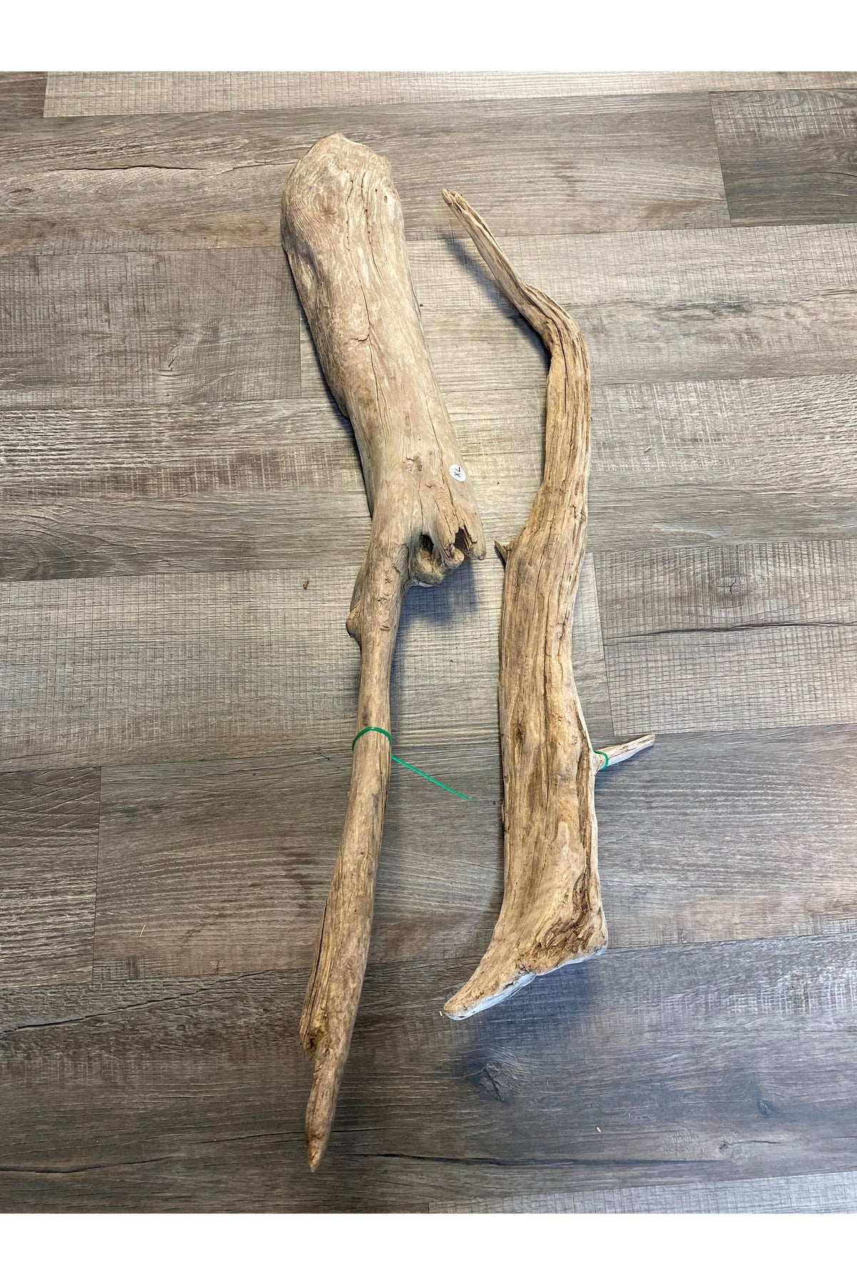 Terrarium Drift Wood