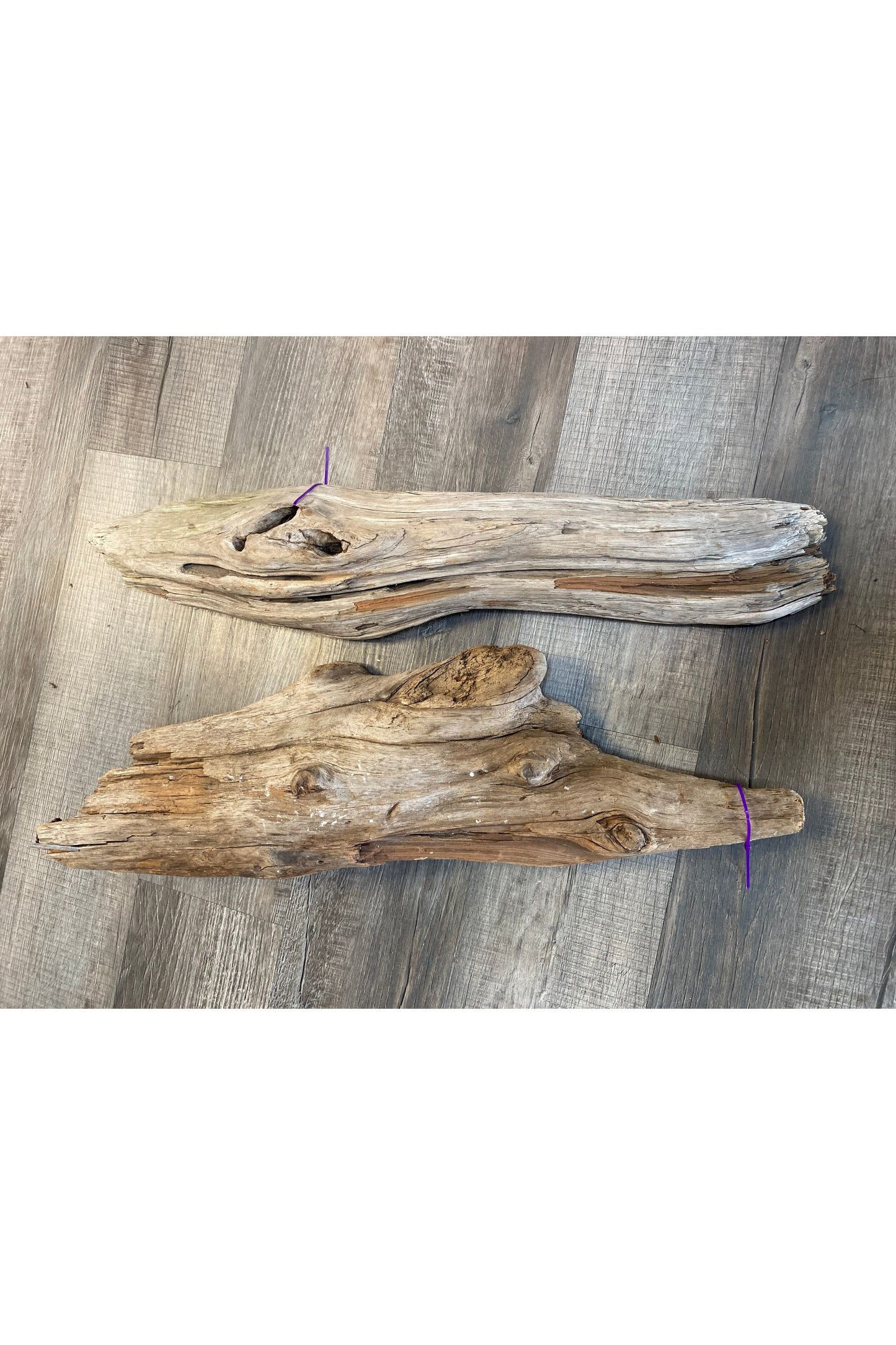 Terrarium Drift Wood