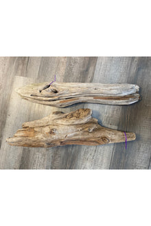 Terrarium Drift Wood