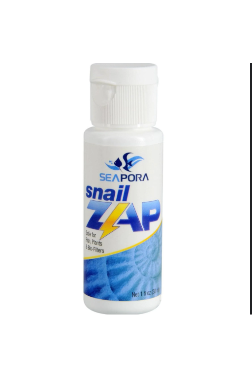 SEAPORA - Snail Zap