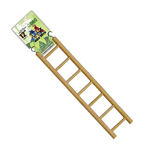 A&E Happy Beaks Small Ladder - 12 In.