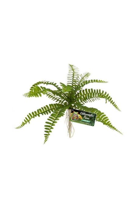 Zoo Med Naturalistic Flora - Artificial Terrarium Plant